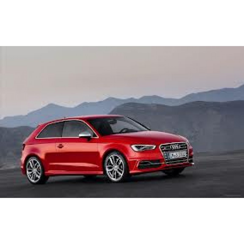 Audi S3 S3 2.0 TFSI (GPF) 310 petrol 8V Mk2 - 07/2016 -> 2020