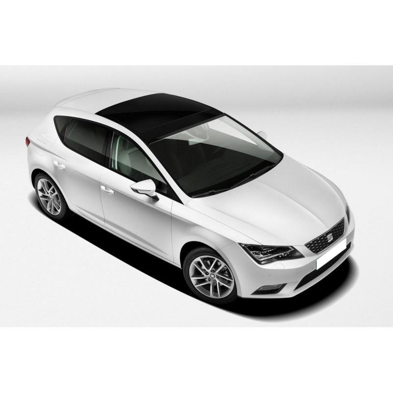 Cupra Leon 2.0 TSI (4Drive) 310 petrol 2020 -> ...