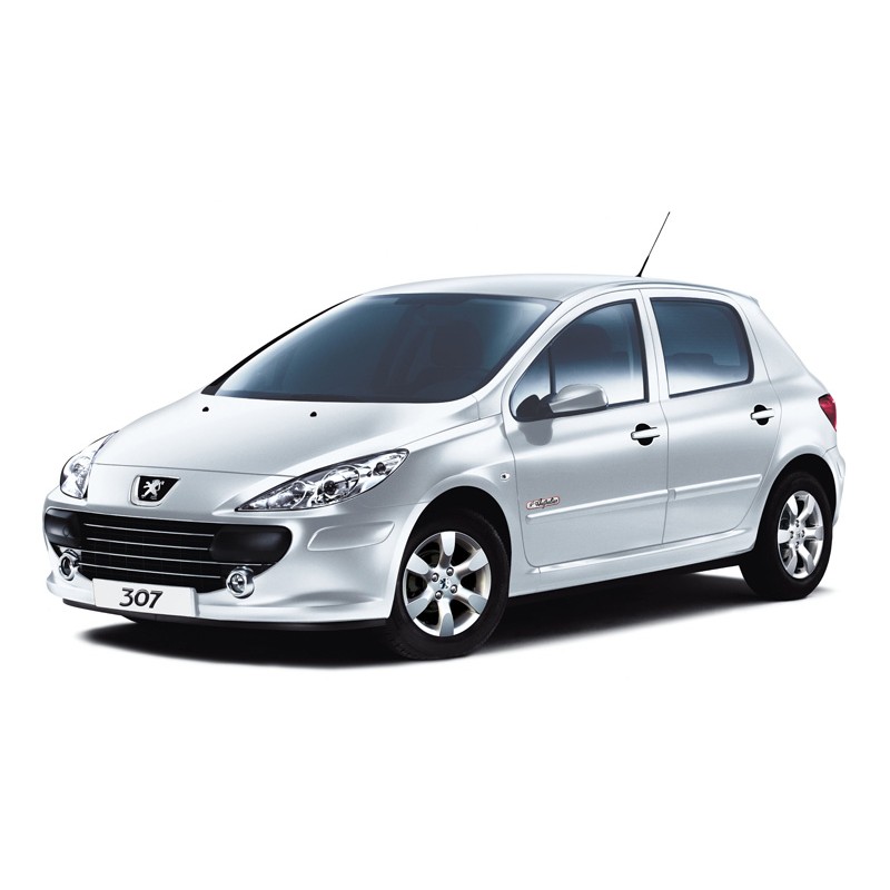 Peugeot 307 2.0 HDi 90 diesel 2001 -> 2008