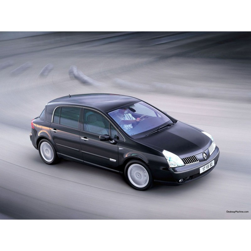 Renault Vel Satis 2.0 DCi 150 diesel 2002 -> 2010