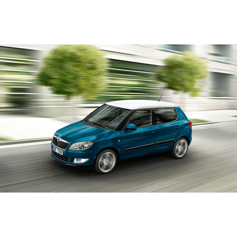 Skoda Fabia 1.0 TSI (2021 - ...) 110 petrol 2014 -> 2021