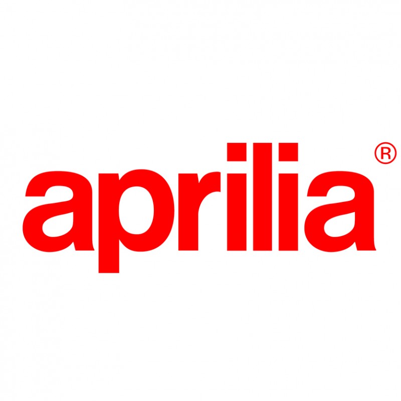 Aprilia Tuono 1100 Factory 175 petrol 2021 -> ...