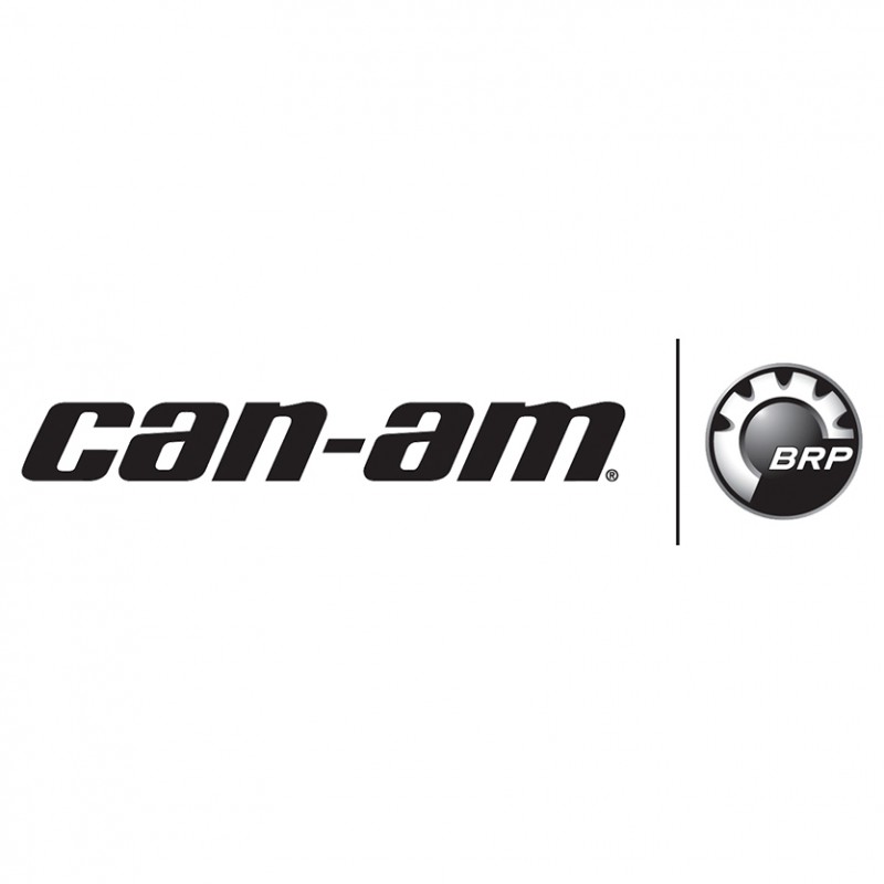 Can-am Ryker 600 Rotax ACE 47 petrol 2018 -> ...