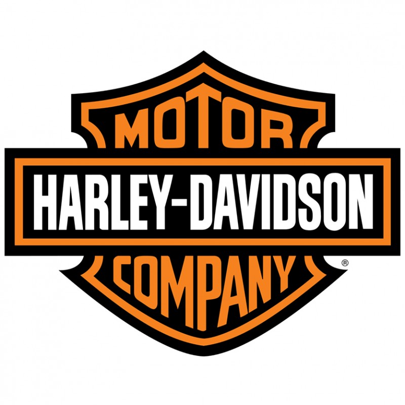 Harley Davidson 1690 Dyna / Softail / Road K / Electra Glide / ... 1690 Dyna 81 petrol 2010 -> 2013
