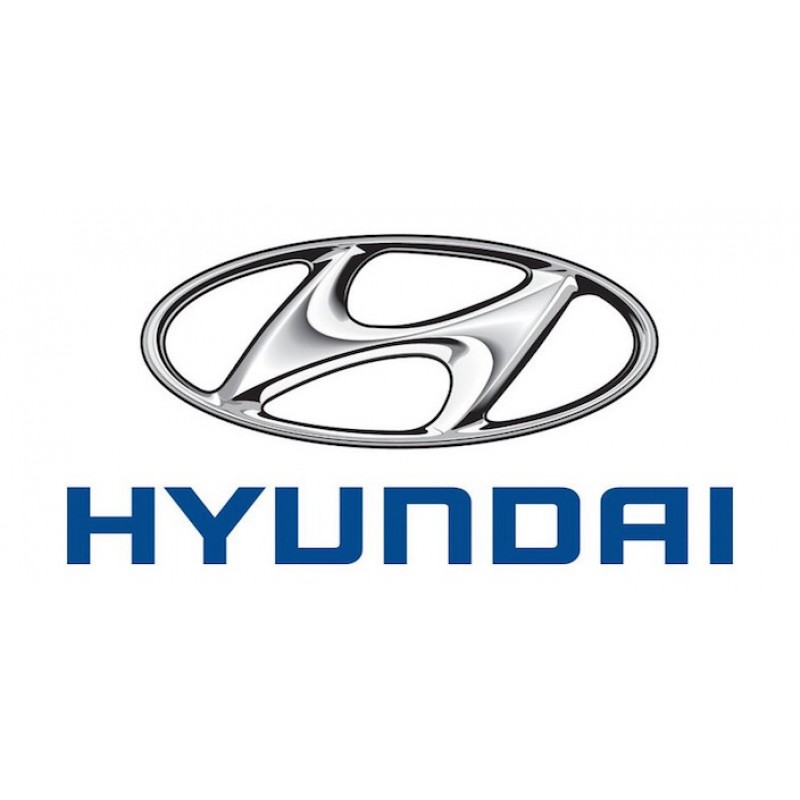 Hyundai Ioniq Ioniq 53kWh 151 electric 6 - 2022 -> ...
