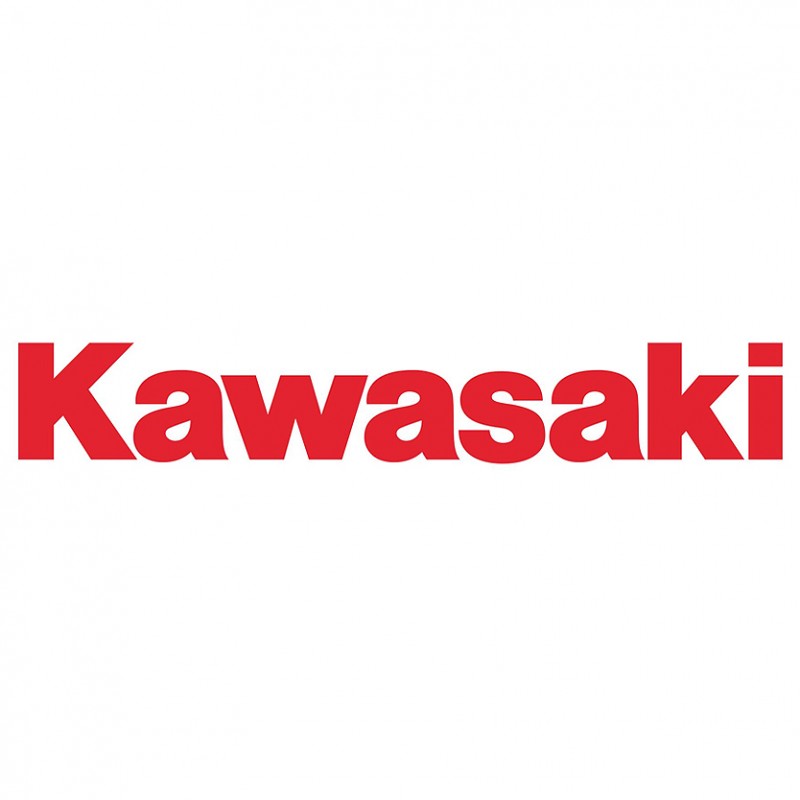 Kawasaki Ninja 400cc 45 petrol 2017 -> 2019