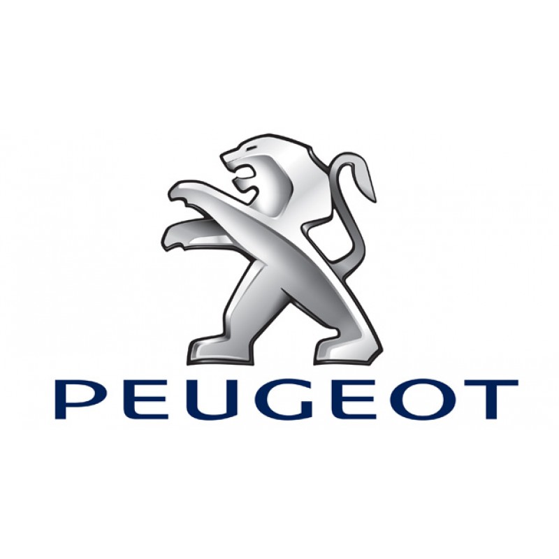 Peugeot 2008 1.2 PureTech (GPF) 155 petrol 2020 -> 2023 Peugeot 2008 1.2 PureTech (GPF) 155 petrol 2020 -> 2023