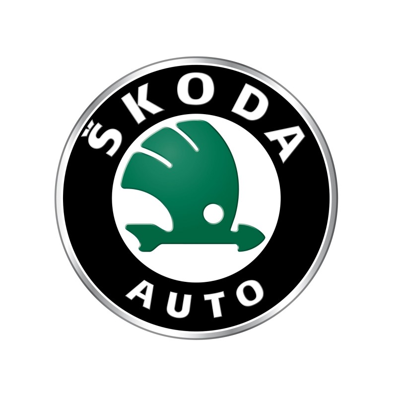 Skoda Kamiq 1.5 TSI 150 petrol 2019 -> ...